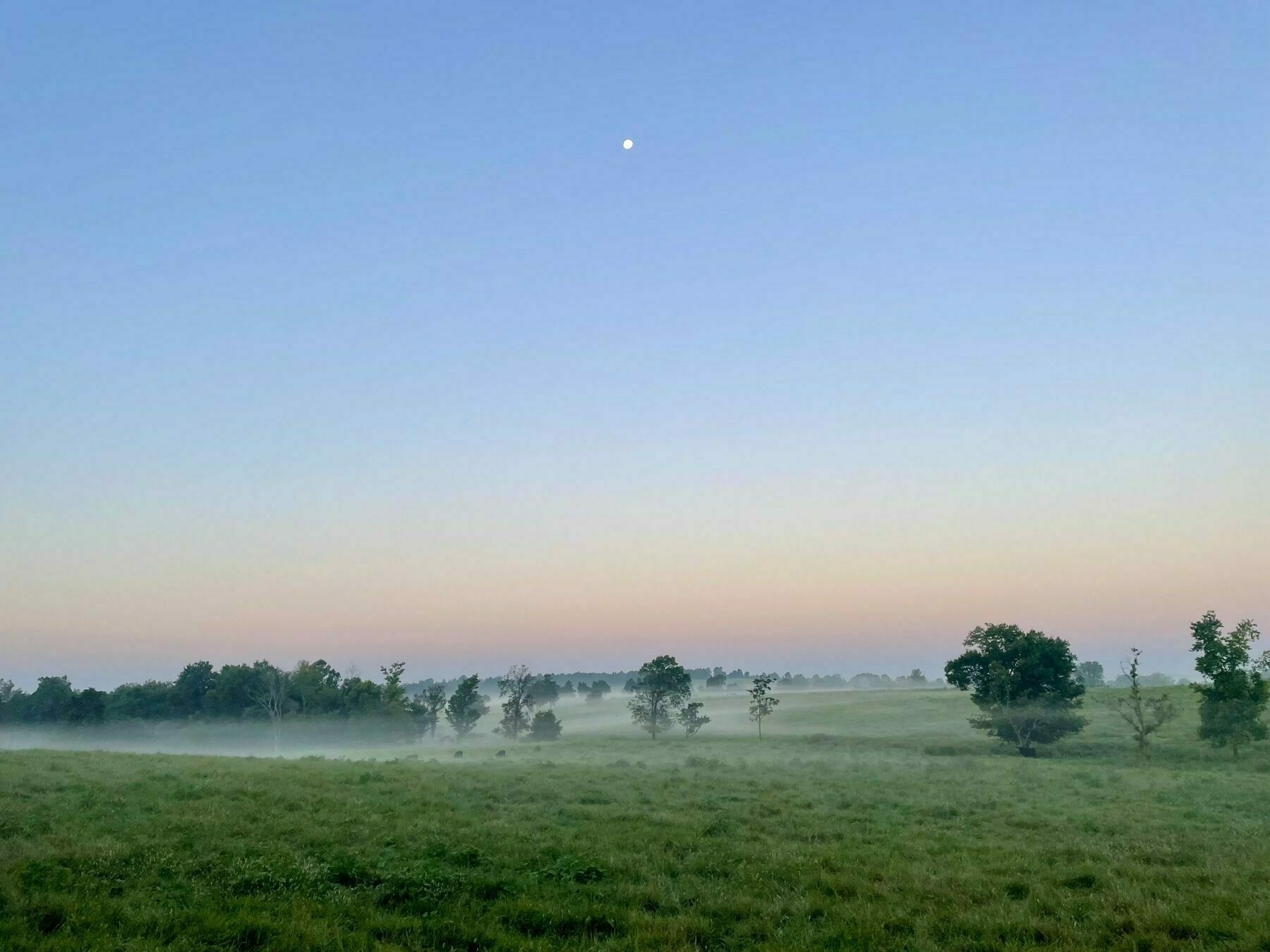 A scenic view of distant fields and rolling hills are covered in mists. The waning moon is high in the morning sky. 