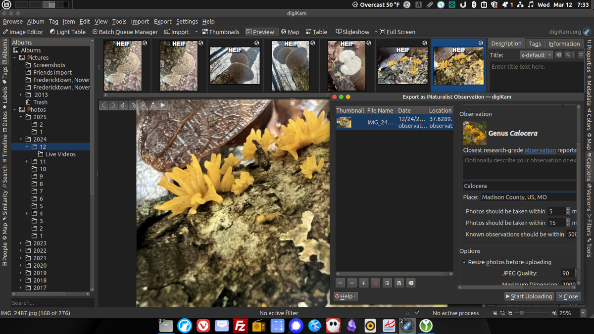 A screenshot of the digiKam app showing iNaturalist export dialog