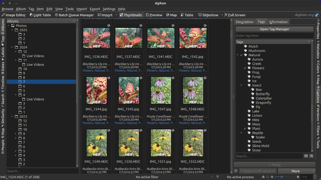 A screenshot of the digiKam app showing dated albums on the left side panel of the application. The center portion of the application window shows large thumbnails of images and the tags manager active on the  right side panel of the window.
